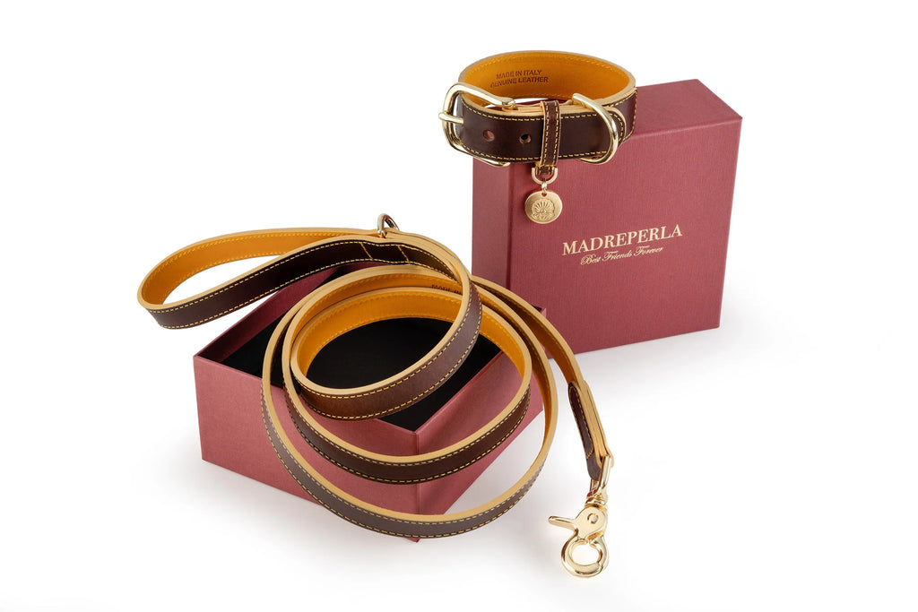 SET Collare e Guinzaglio